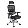 Fotel biurowy Grospol Ergohuman 2 Elite ST BS Black