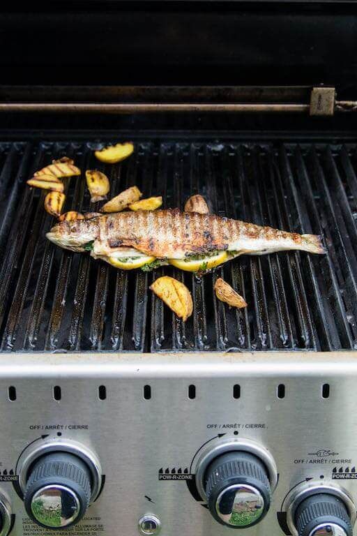 Ruszt dwustronny marki Broil King i ryba.