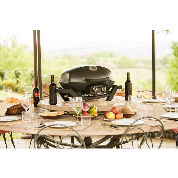 Grill przenośny gazowy Napoleon TravelQ PRO285 ⭐ PROMOCJA! AKCESORIA W SUPER CENIE