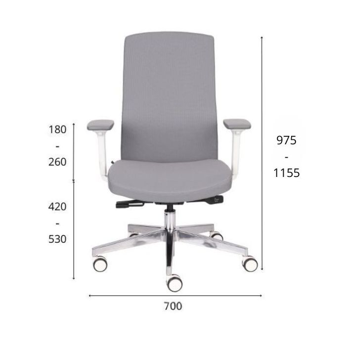 Grospol fotel biurowy Team Pro W white chrome tkanina Note - 12 kolorów
