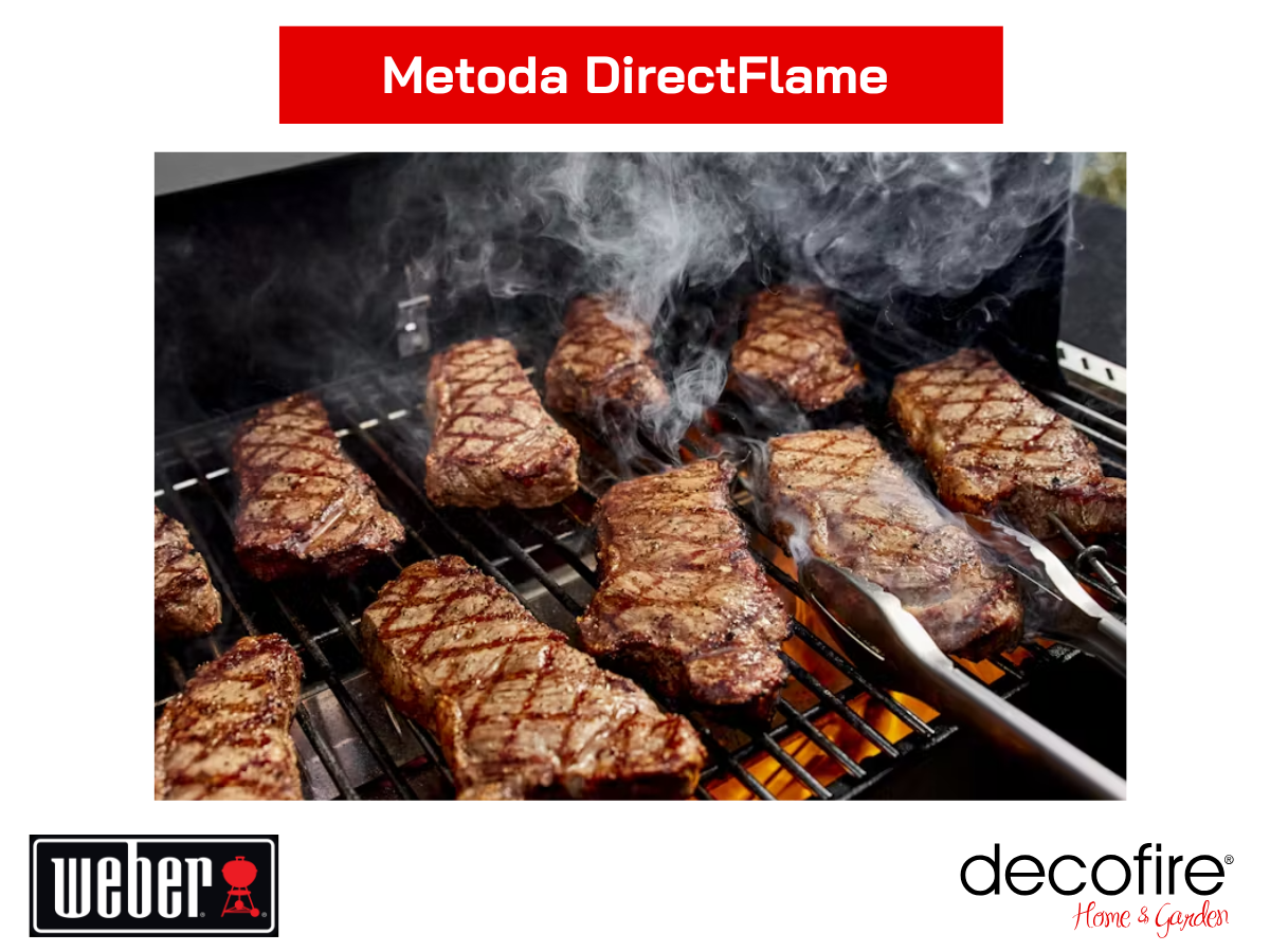 Metoda DirectFlame