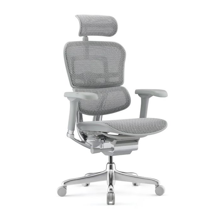 Fotel biurowy Grospol Ergohuman 2 Elite ST GS Grey