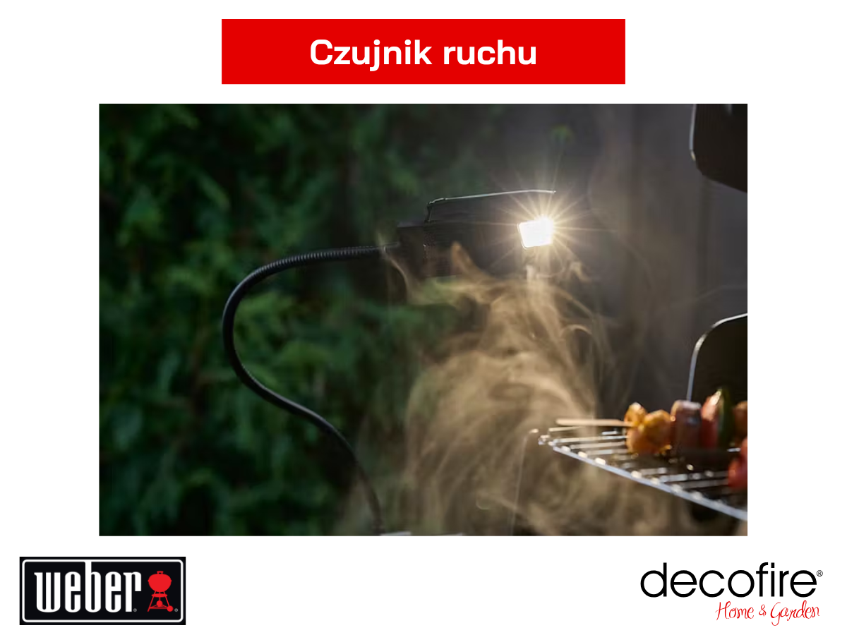 Czujnik ruchu