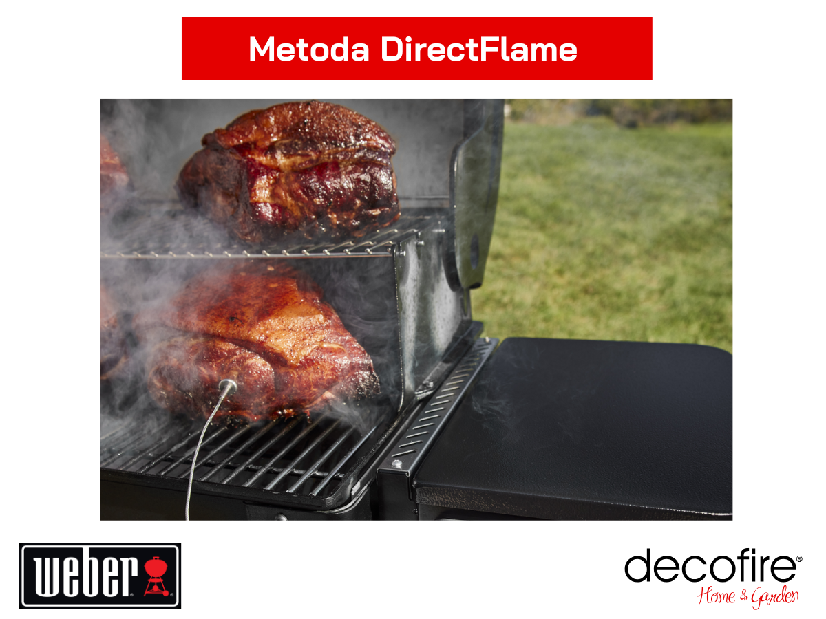 Metoda DirectFlame