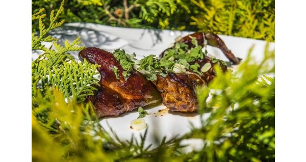 Skrzydełka BBQ - marynowane i podwędzane na grillu