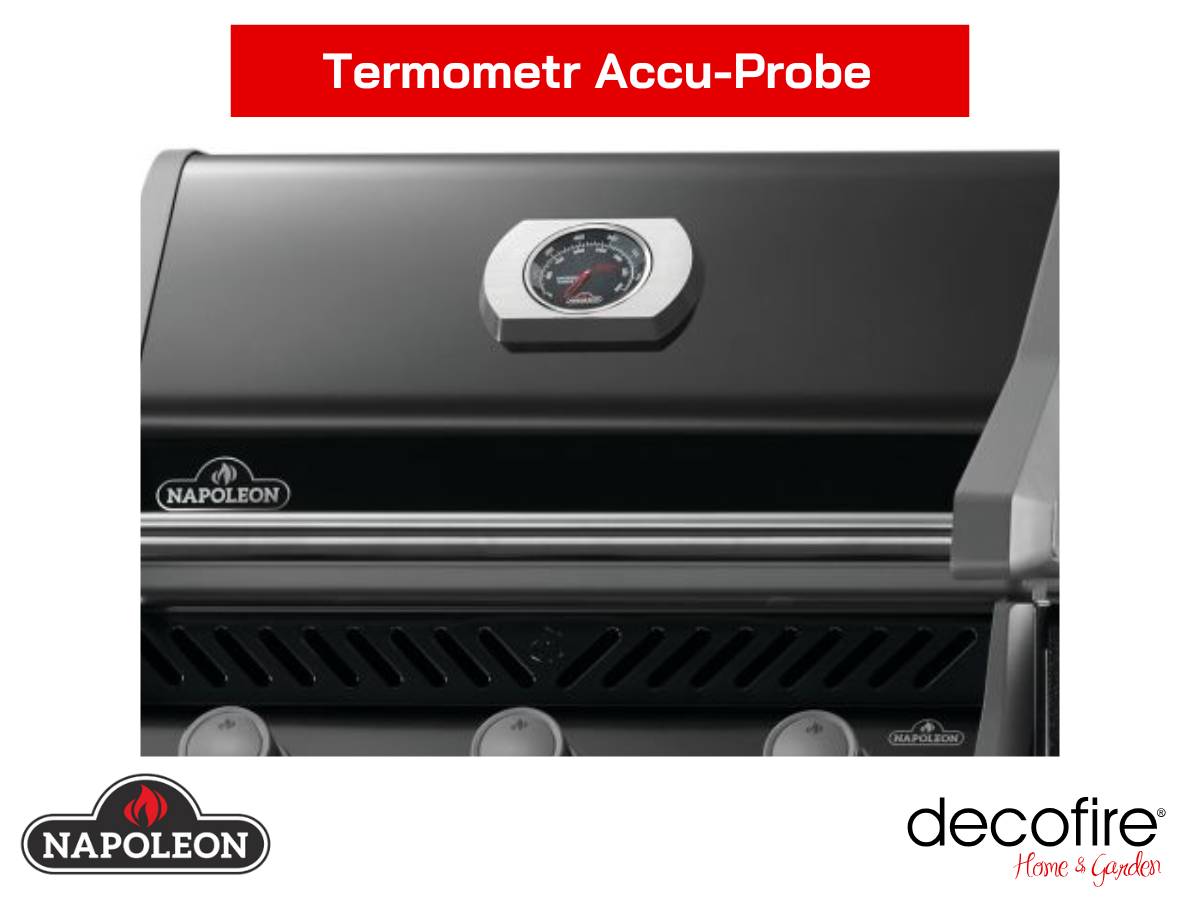 Termometr Accu-Probe