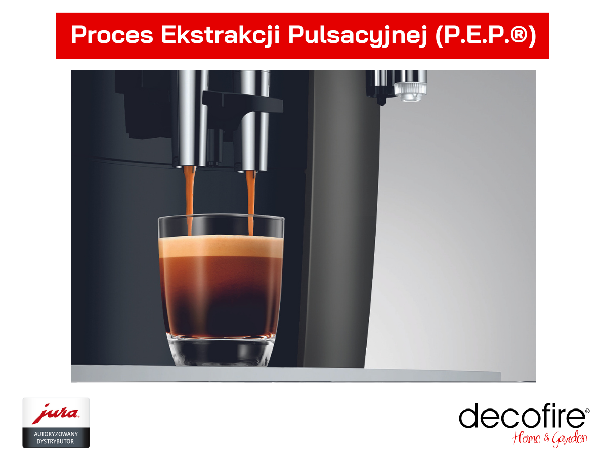 Proces Pulsacji Ekstrakcyjnej