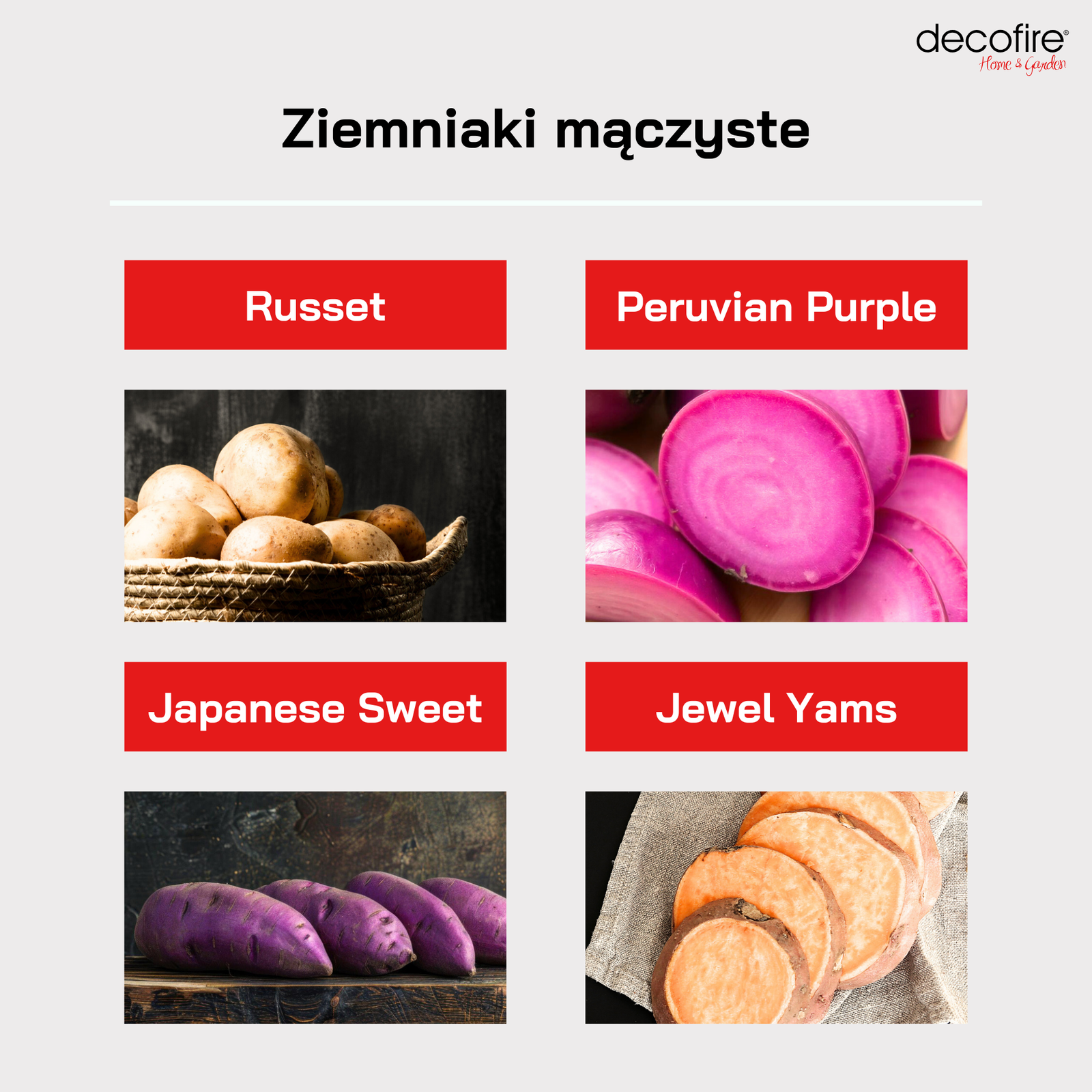 Ziemniaki mączyste