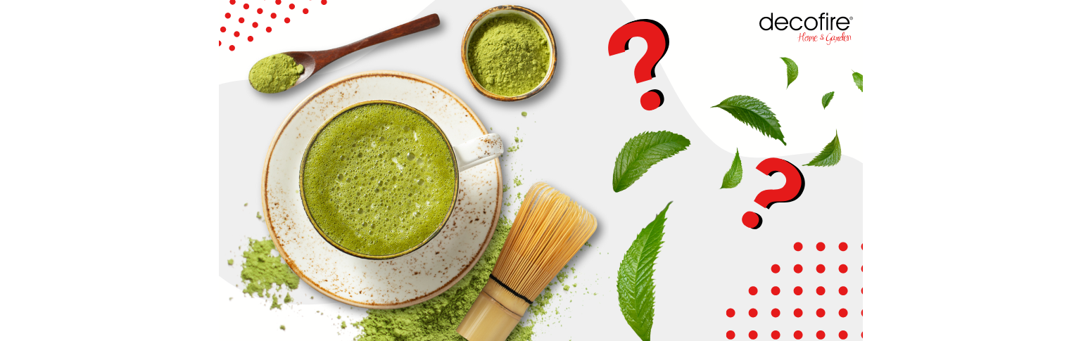 Jak zrobić matcha latte?