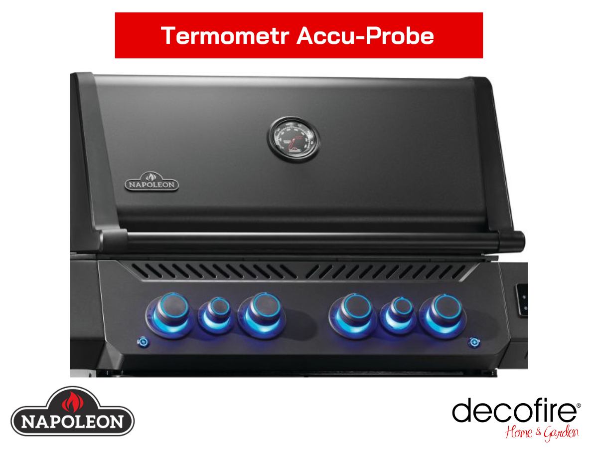 Termometr Accu-Probe