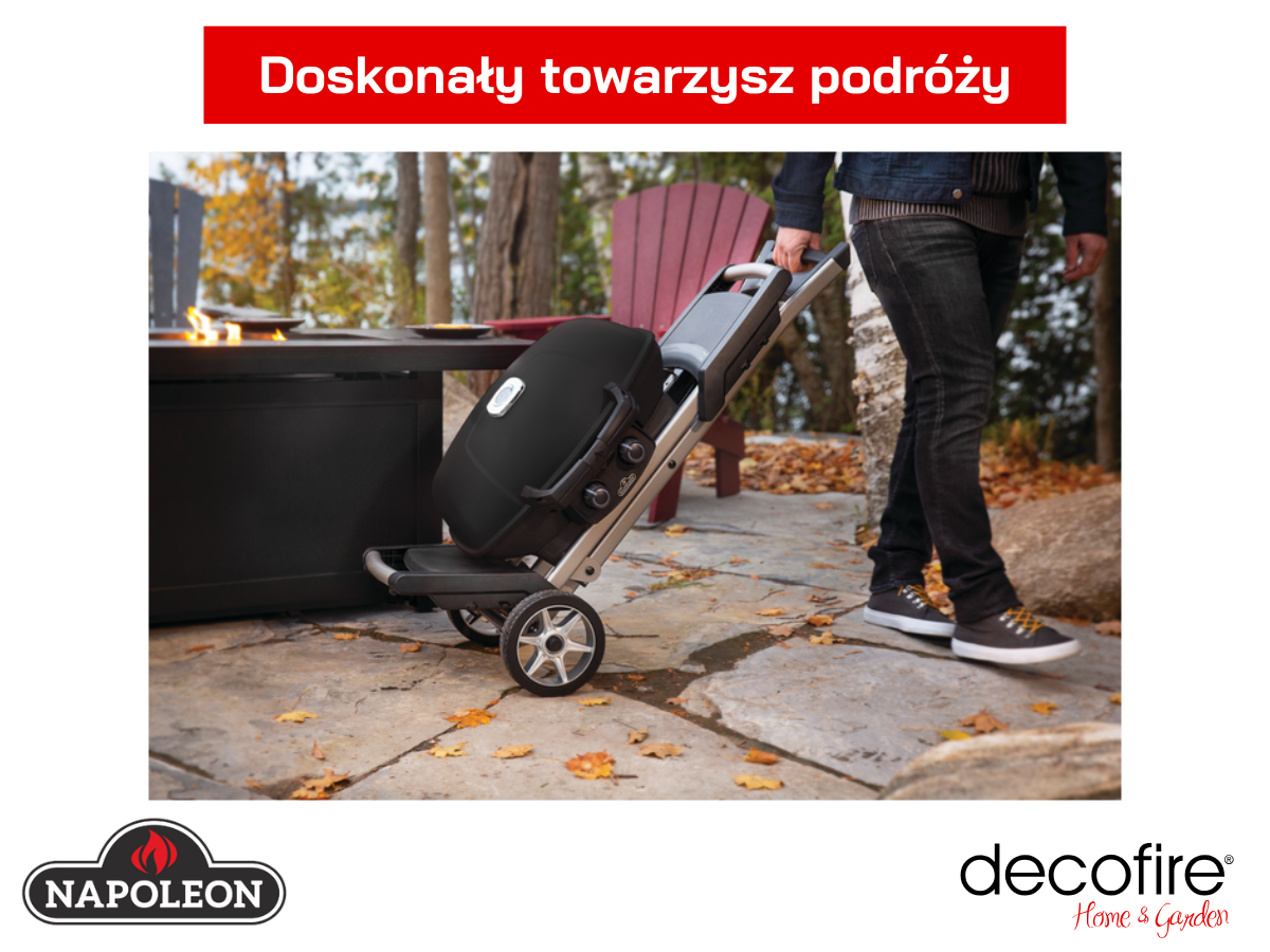 Doskonały towarzysz podróży