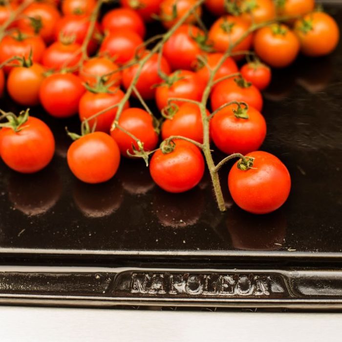 Taca plancha Napoleon (56090)