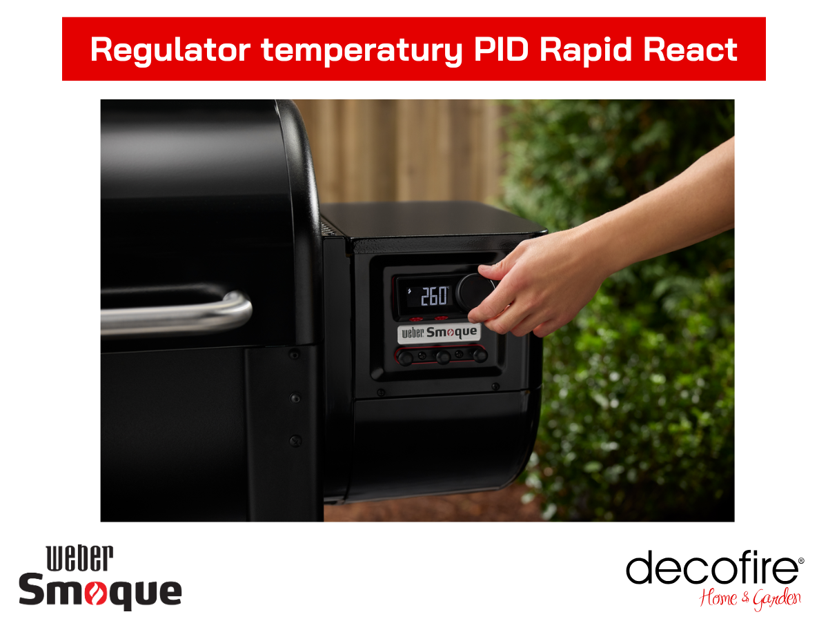 Regulator temperatury PID Rapid React