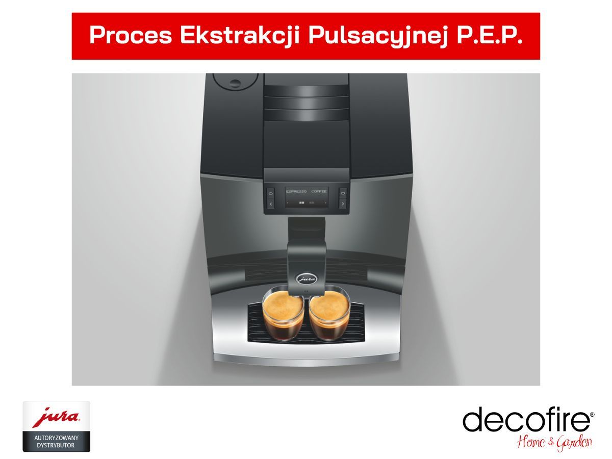 Proces Ekstrakcji Pulsacyjnej P.E.P.