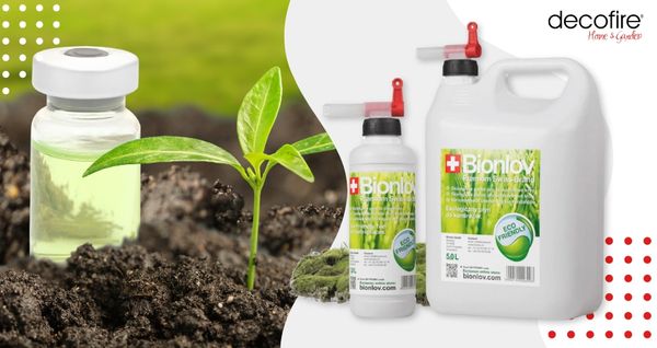 Najlepsze biopaliwo do kominków – czym się kierować przy wyborze?