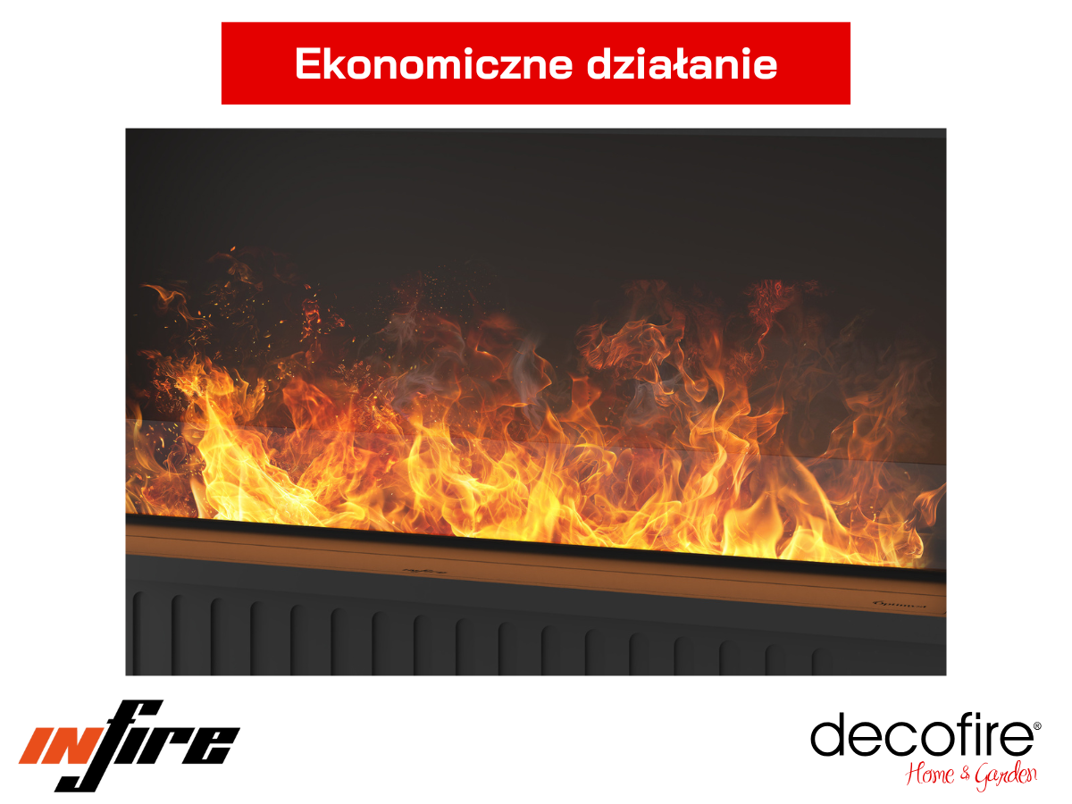 Ekonomiczne działanie