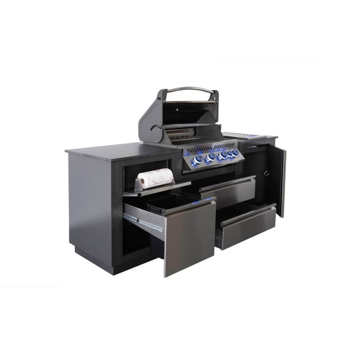 EKSPOZYCJA !! Kuchnia zewnętrzna grill gazowy OASIS™ Compact Prestige 500 Napoleon