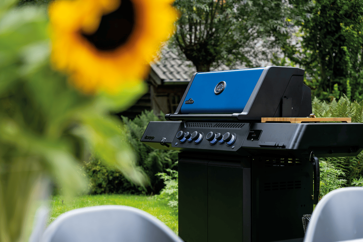 Grill gazowy Napoleon Phantom Prestige 500 w ogrodzie ze słonecznikami