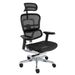 Fotel biurowy Grospol Ergohuman 2 Elite ST BS Black