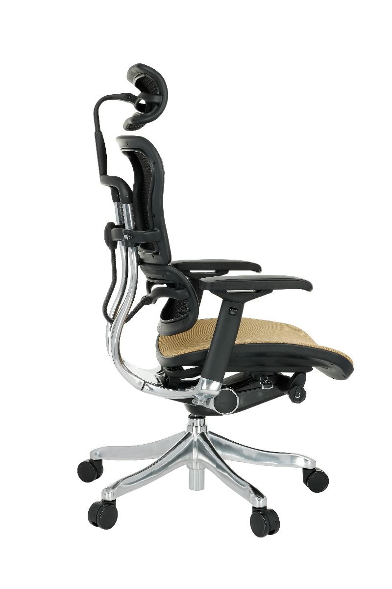 Grospol Ergohuman Color Cura