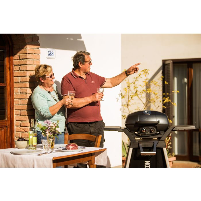 Grill przenośny gazowy Napoleon TravelQ PRO285 ⭐ PROMOCJA! AKCESORIA W SUPER CENIE