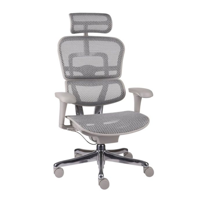 Grospol Fotel biurowy Ergohuman 2 Basic GS Grey