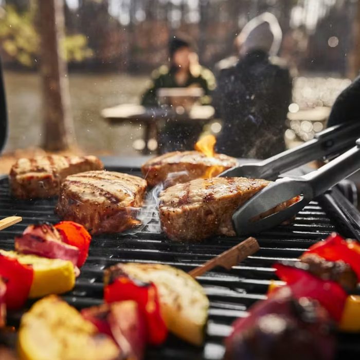 Przenośny grill gazowy Weber Traveler Compact