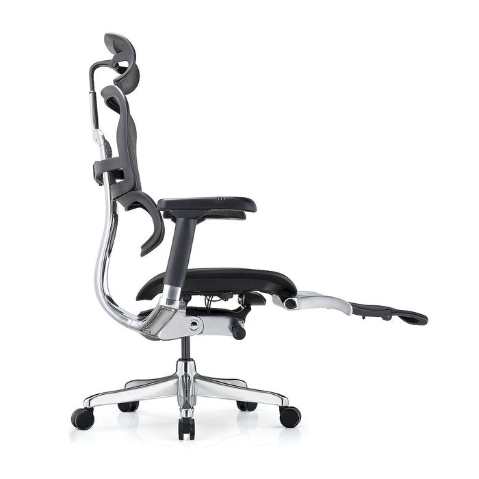 Fotel biurowy Grospol Ergohuman 2 Elite ST BS Black
