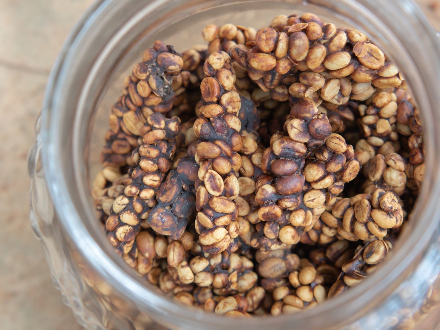 Kawa z odchodów Kopi Luwak
