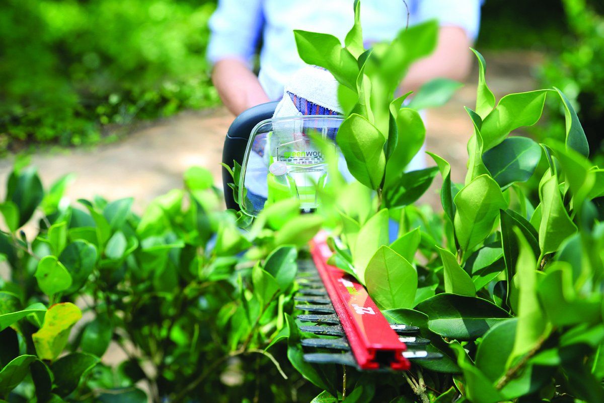 GreenWorks