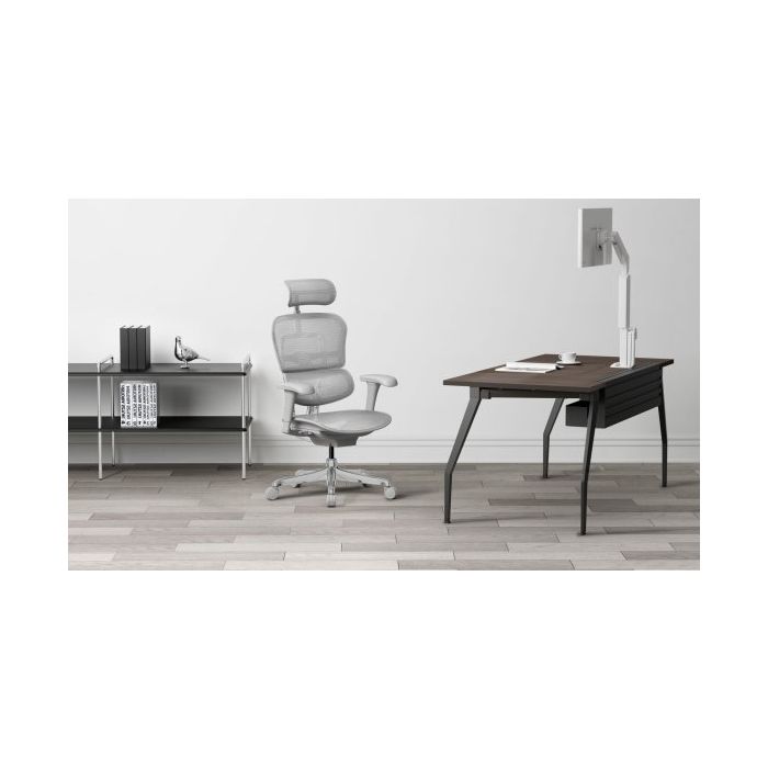 Grospol Fotel biurowy Ergohuman 2 Basic GS Grey