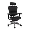 Grospol Fotel biurowy Ergohuman 2 Elite ST LE01 