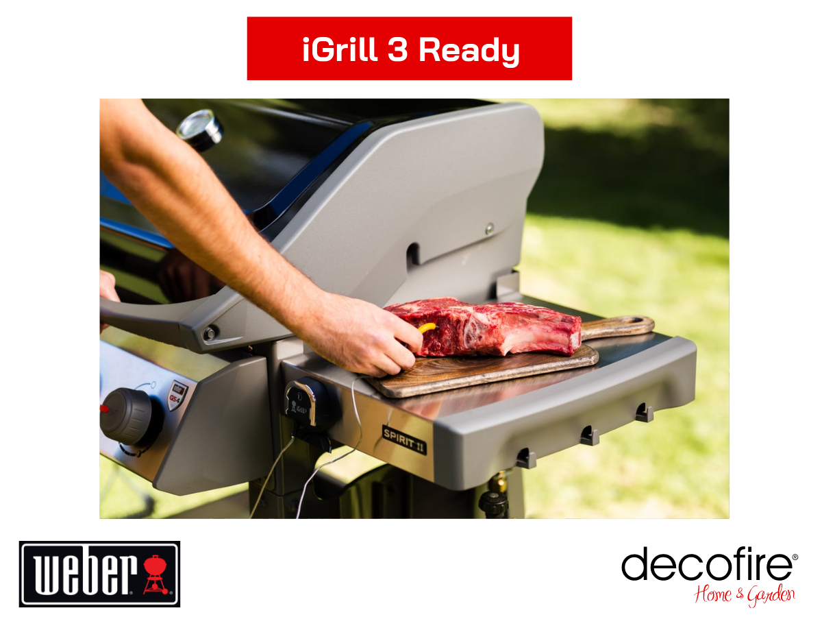 termometr iGrill 3 Ready