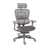 Grospol Fotel biurowy Ergohuman 2 Elite ST GT Grey