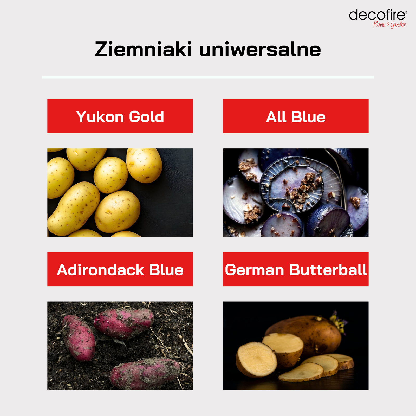 Ziemniaki uniwersalne