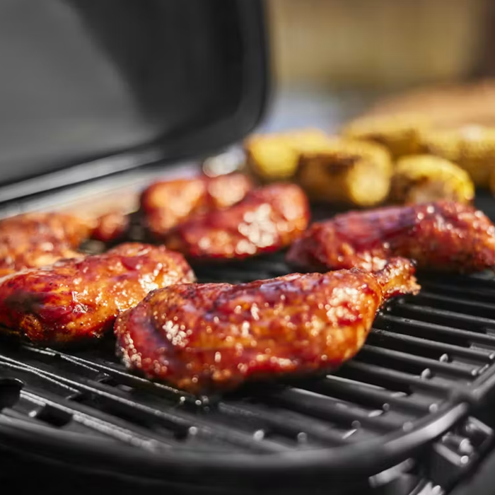 Przenośny grill gazowy Weber Traveler Compact