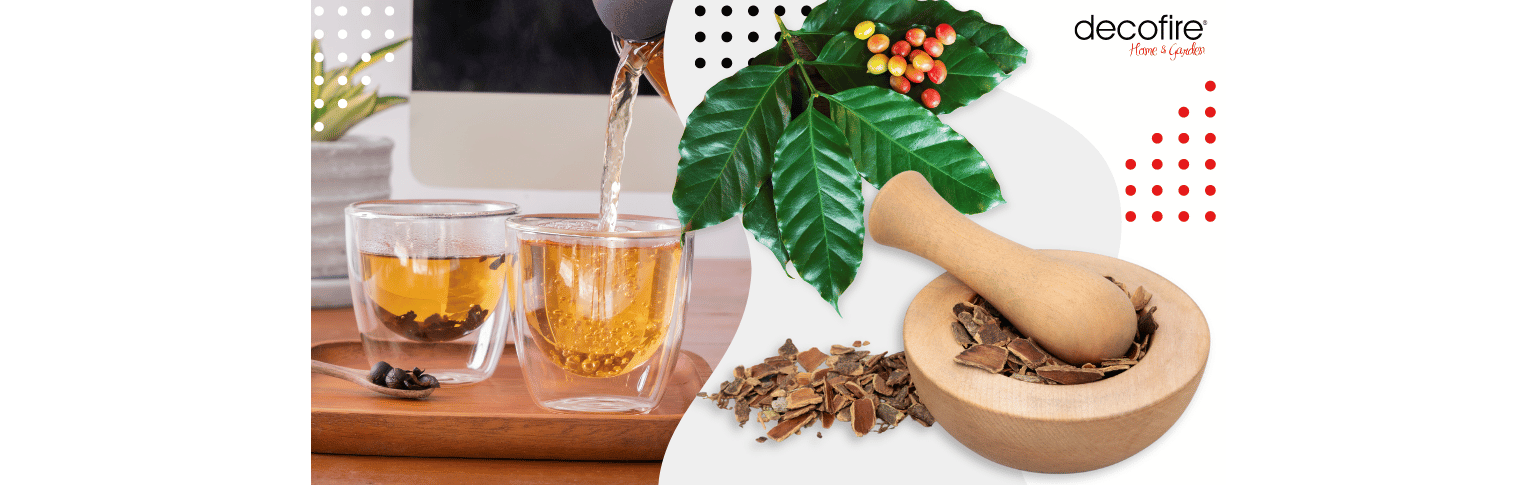 Cascara – co to jest i jak ją parzyć?