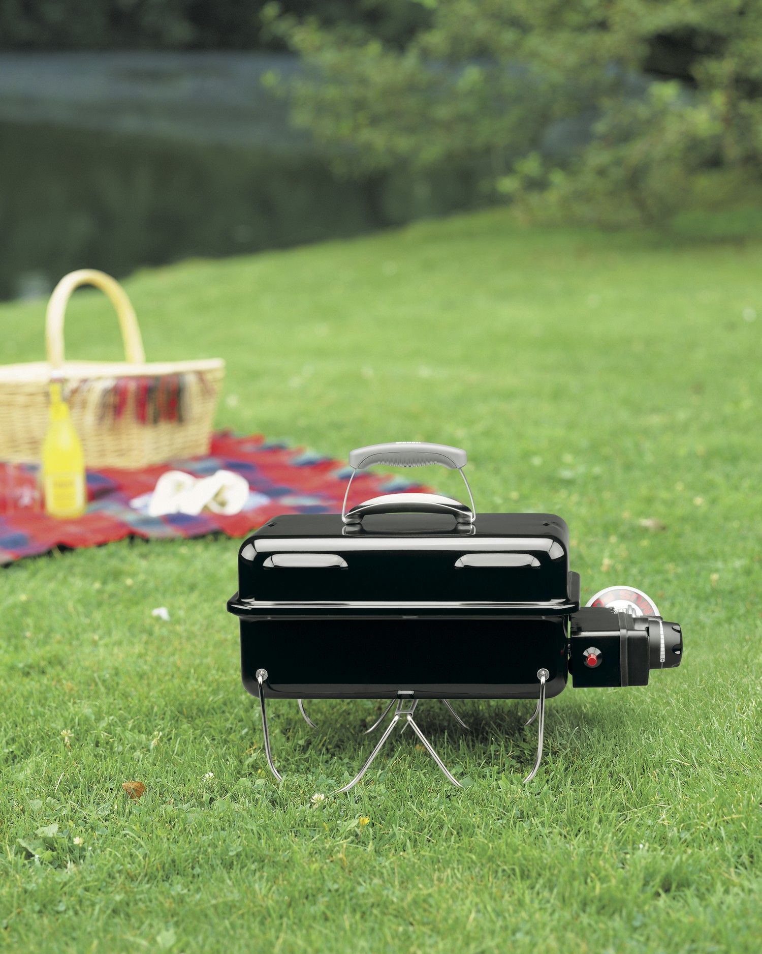 Piknik w parku z grillem