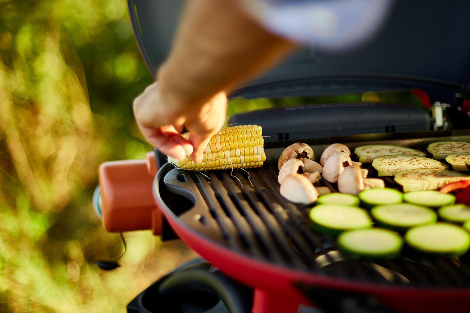 Wegański grill, inspiracje