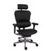 Grospol Fotel biurowy Ergohuman 2 Elite ST LE01 
