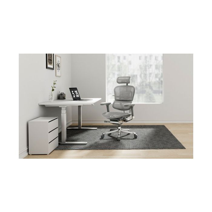 Fotel biurowy Grospol Ergohuman 2 Elite ST GS Grey
