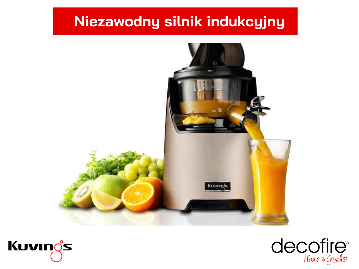 Niezawodny silnik indukcyjny 