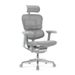 Fotel biurowy Grospol Ergohuman 2 Elite ST GS Grey