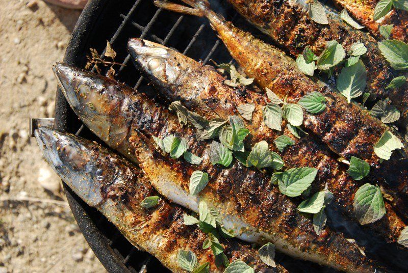 Ryby na grillu węglowym