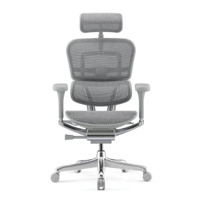 Fotel biurowy Grospol Ergohuman 2 Elite ST GS Grey