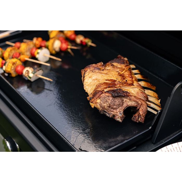 Grill gazowy Campingaz Plancha EX 3 (2216642)