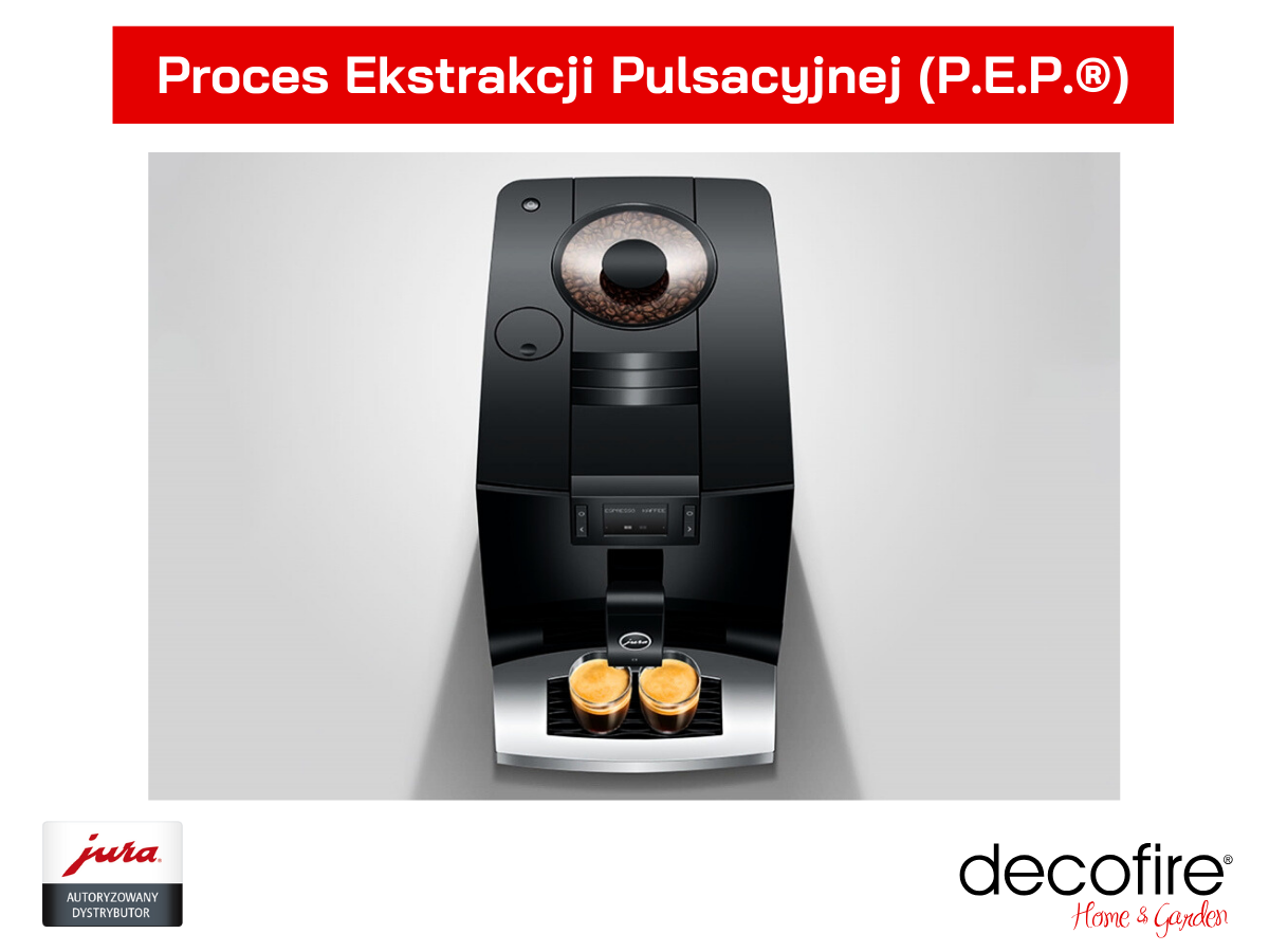 Proces Ekstrakcji Pulsacyjnej (P.E.P.)