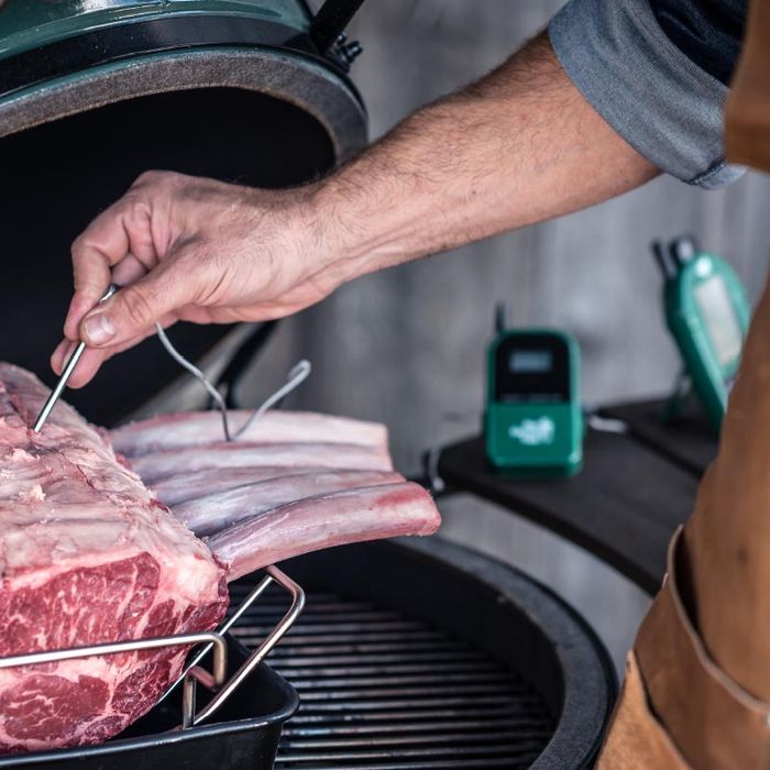 Termometr Wi-Fi z sondami Big Green Egg (116383)
