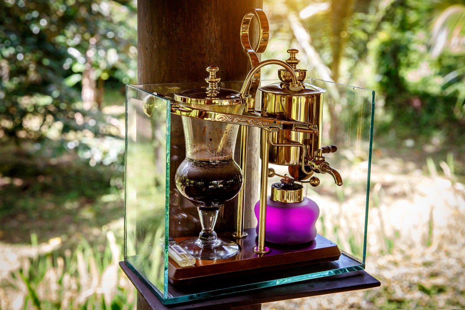Kawa Kopi Luwak parzona w szklanym syfonie