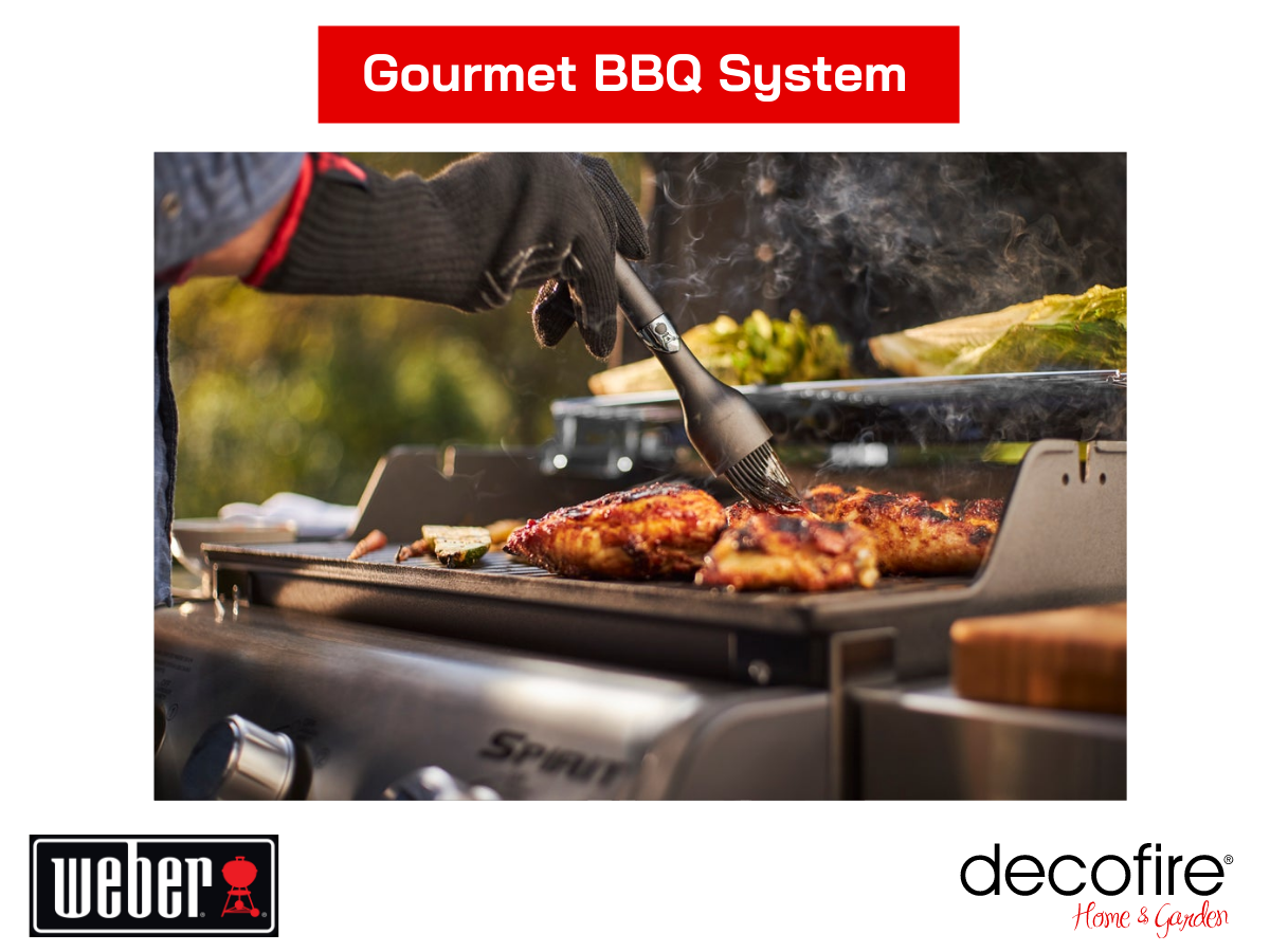 Gourmet BBQ System